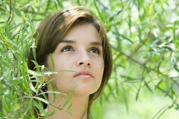 �⾵ͷ�˿���ɨ������Ƶ�������ձ����ĸ��ֵ�����ʱ ���ĸ�û��·...